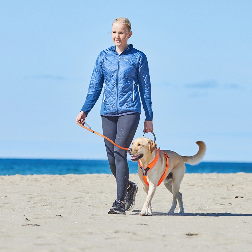 Hundkoppel med twistlock blå grön svart orange eller lila Non-Stop