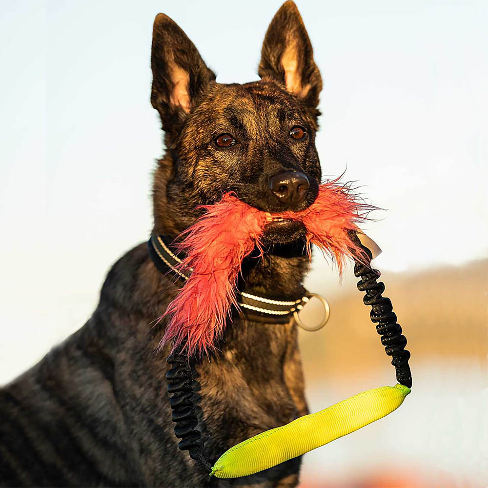 Tug of war dog toy with faux fur Doggie-Zen