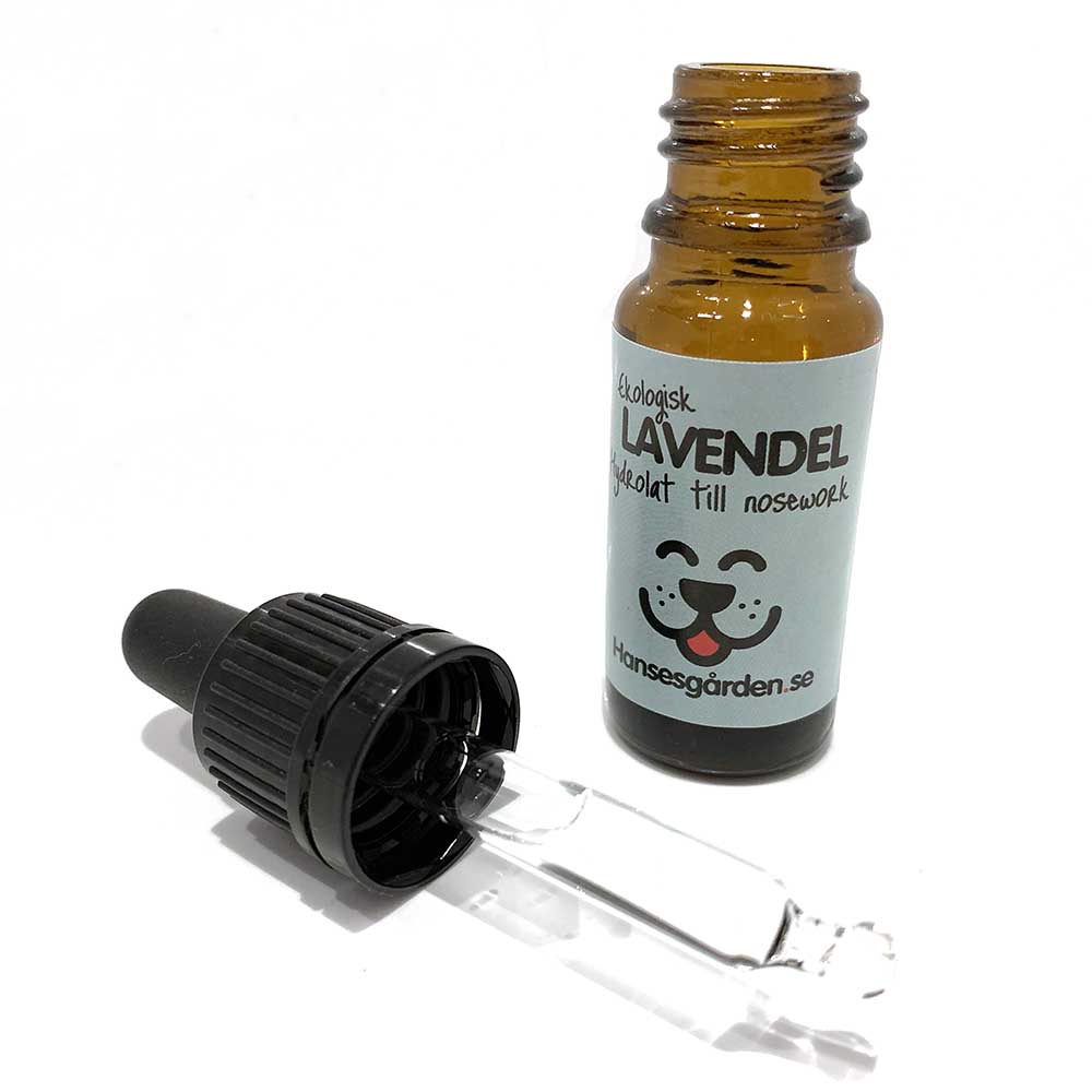Big glas bottle of lavender for nose work