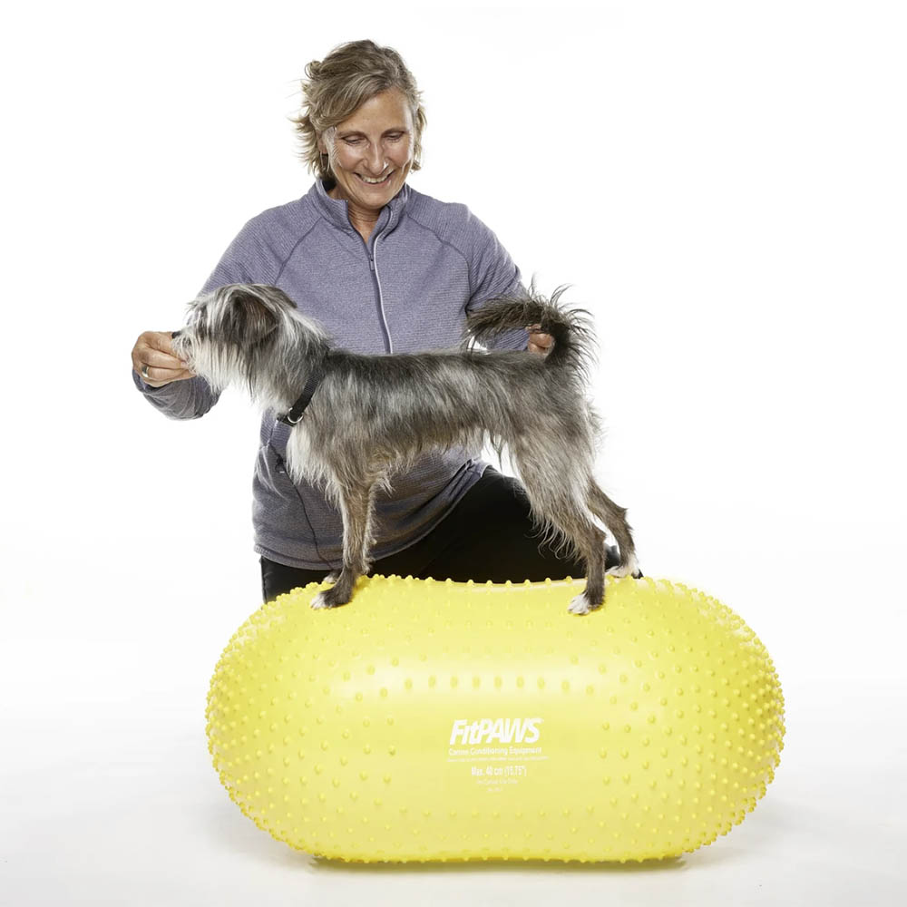FitPAWS Trax Peanut