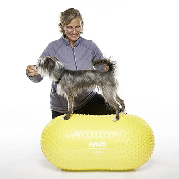 FitPAWS Trax Peanut