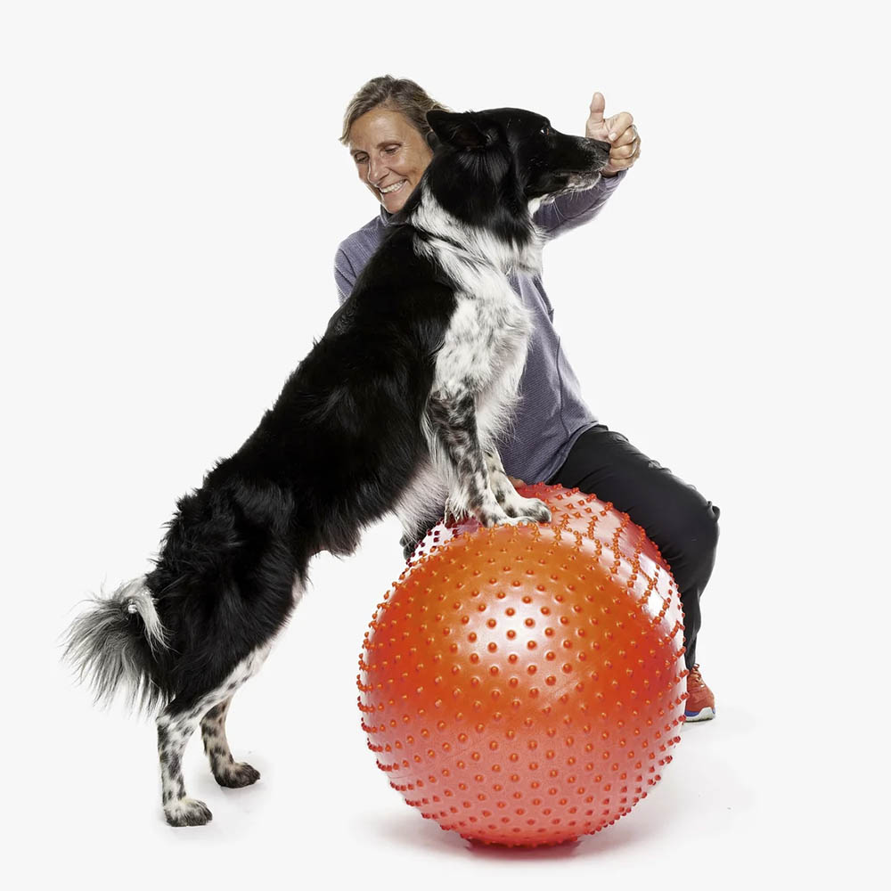 Peanut balansboll för hundträning Fitpaws