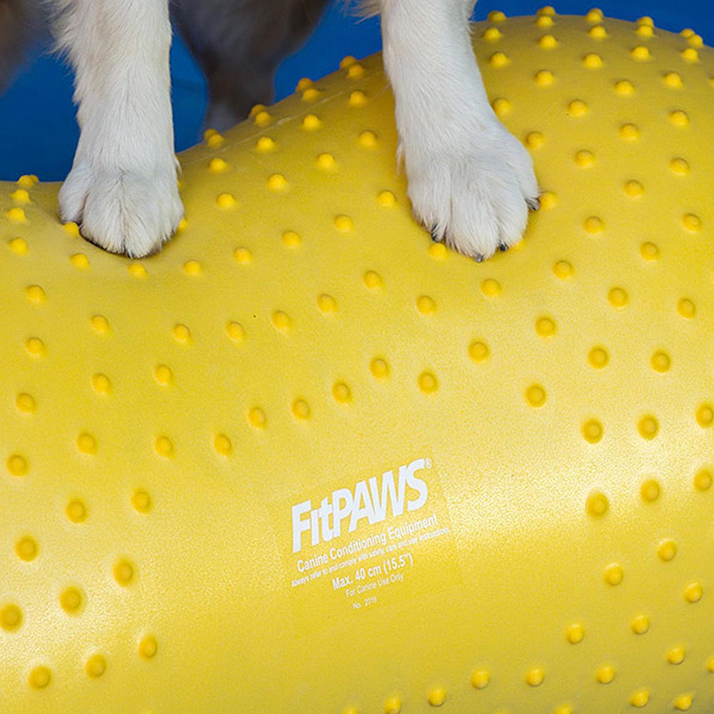 FitPAWS Trax Peanut - 5