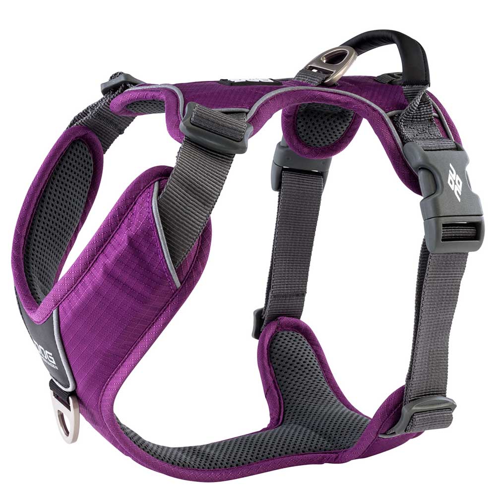 Stylish dog harness in purple