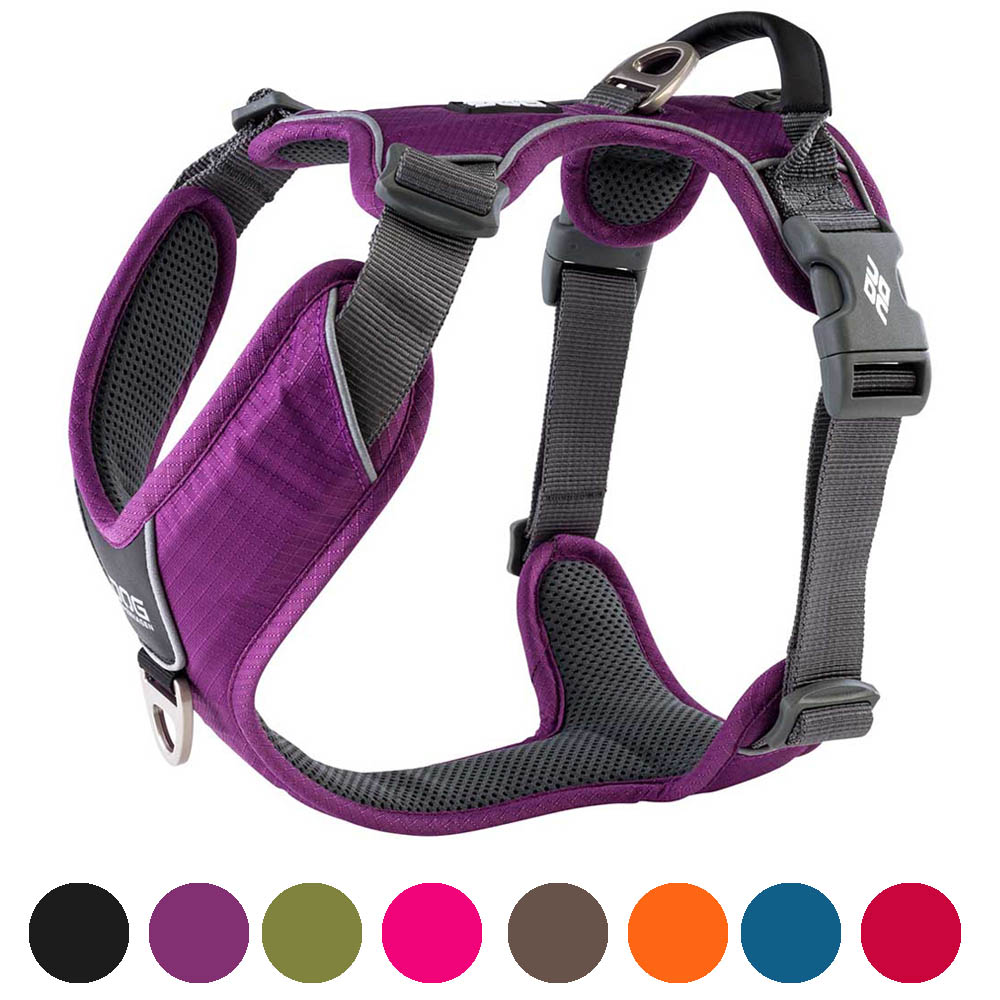 Dog Copenhagen Comfort Walk Pro dog harness