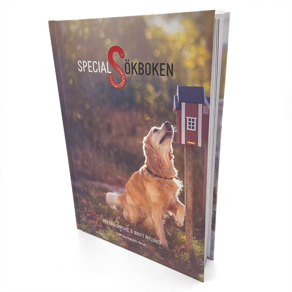 The special search book