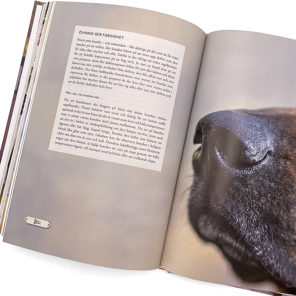 The special search book - 3