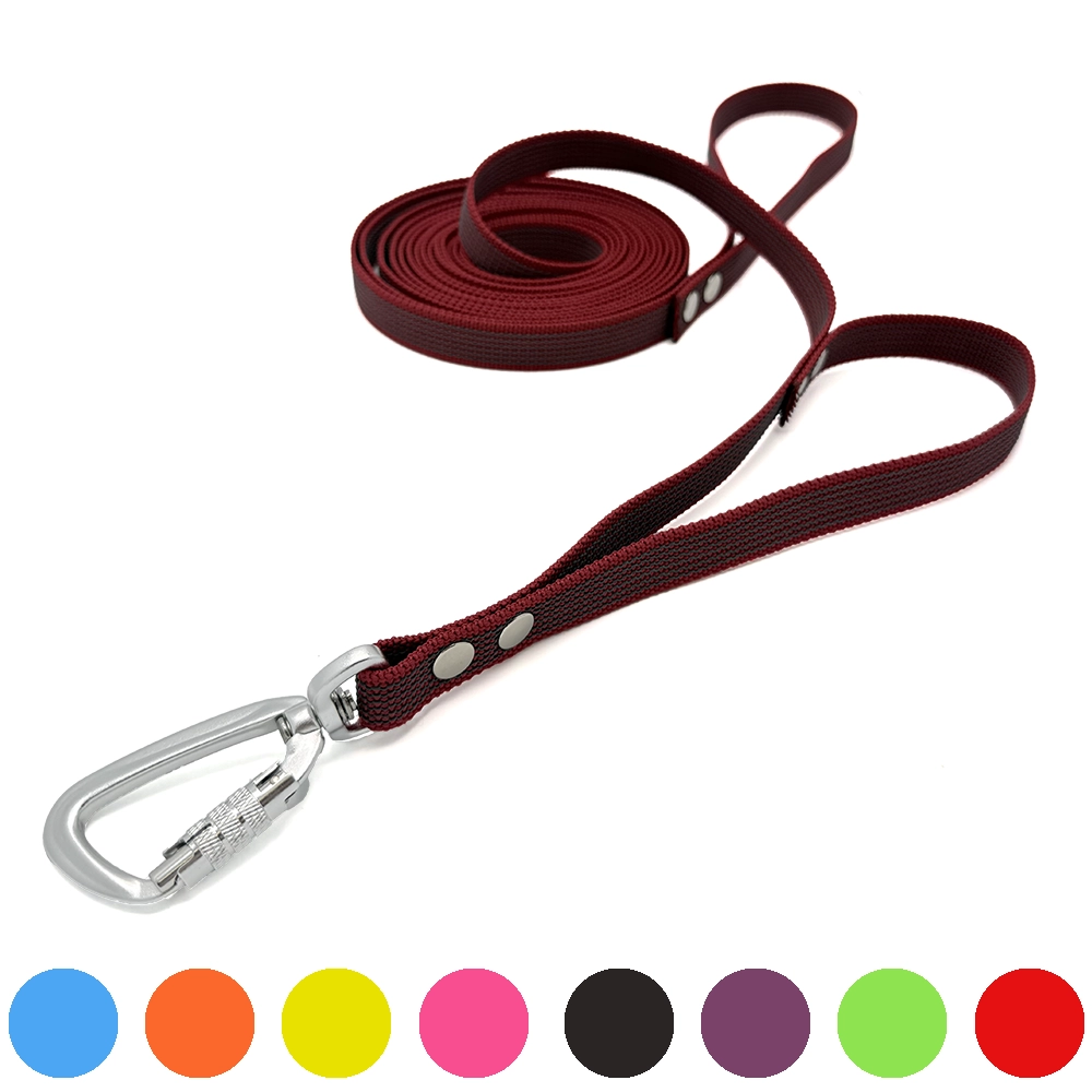 Dual handle dog leash in supergrip