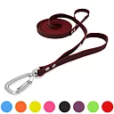 Dual handle dog leash in supergrip