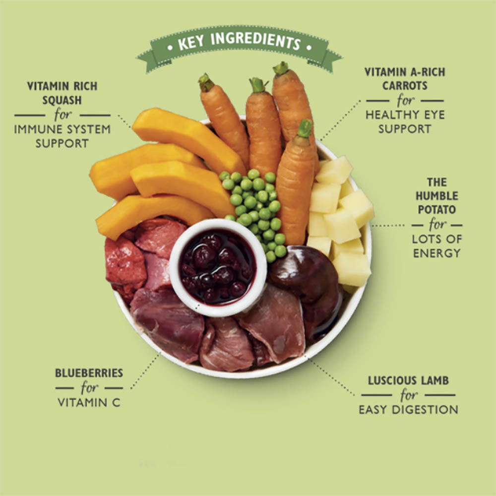 Lily's kitchen dog food - lamb hotpot and carrot and blueberry