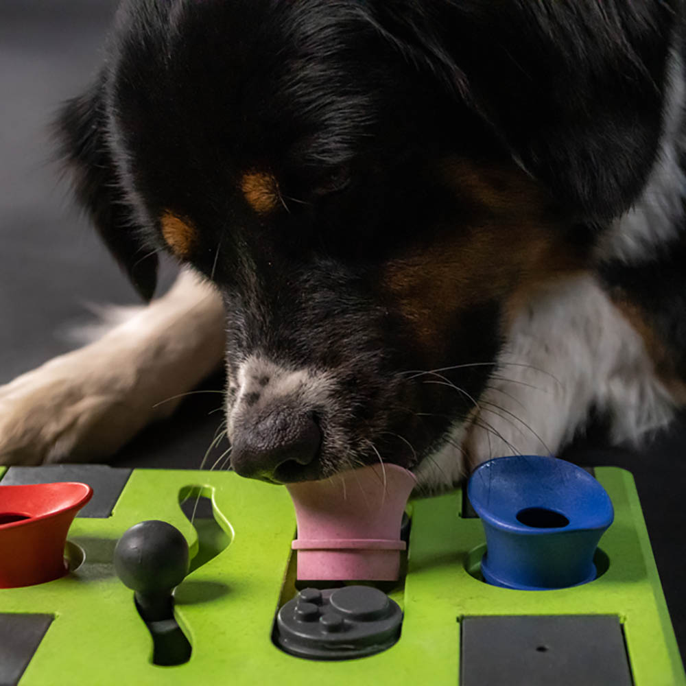 Eat slow bowl with puzzle - triangle - 3