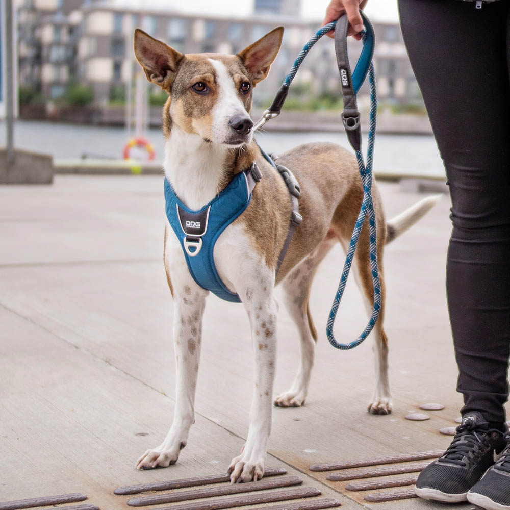 DOG Copenhagen Urban rope koppel - 6