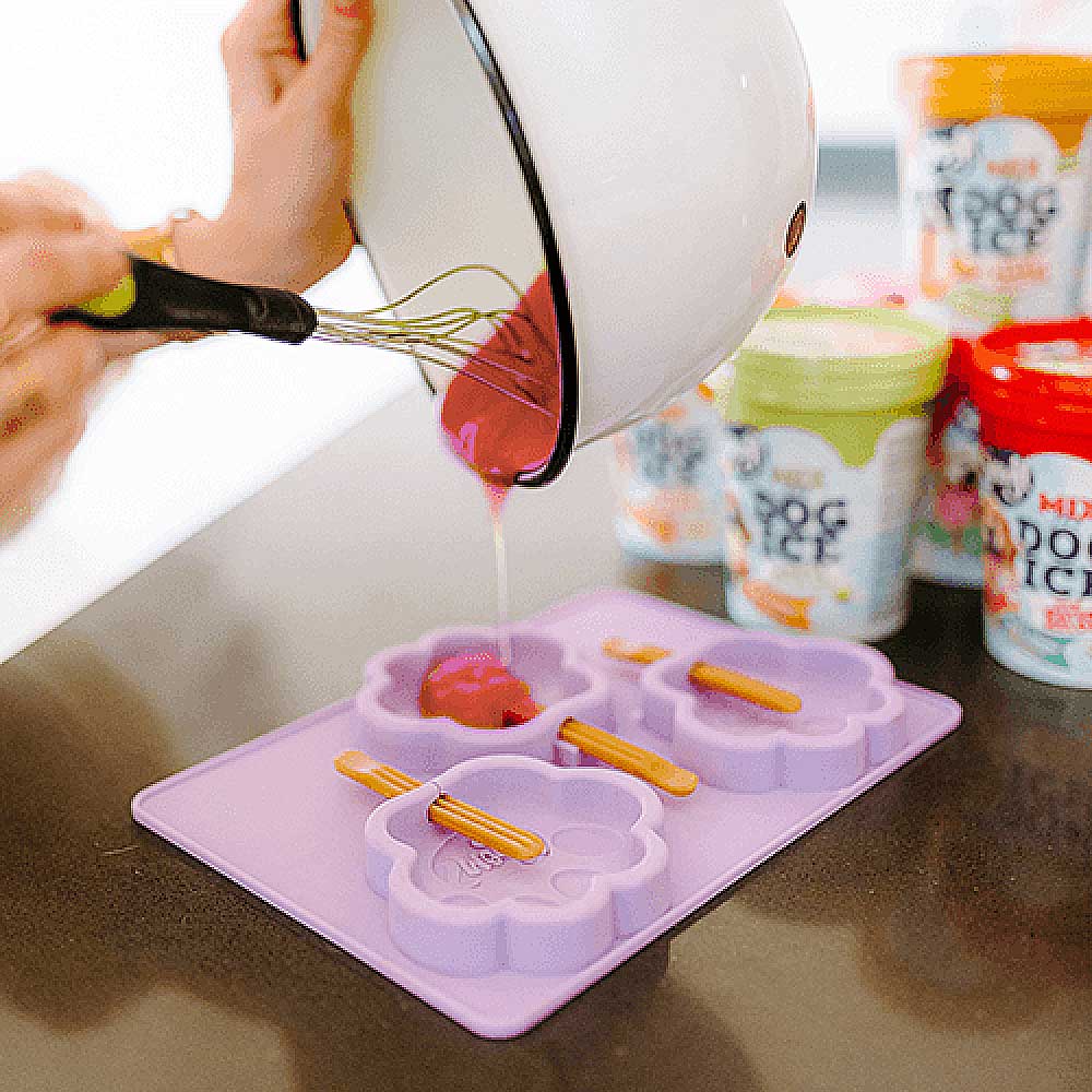 Smoofl silikonformar för att baka kakor eller glass till hunden