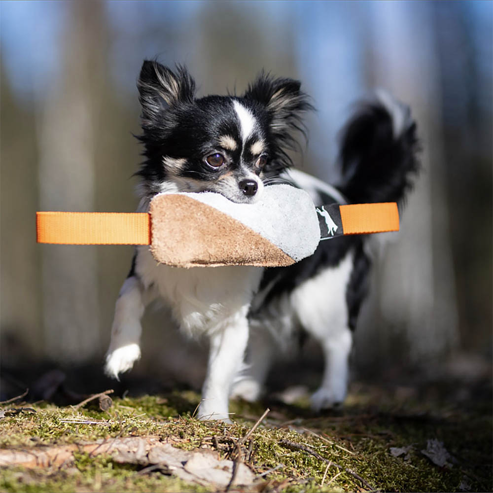 #joyofdogsports Hundleksak till liten hund eller valp SportsK9