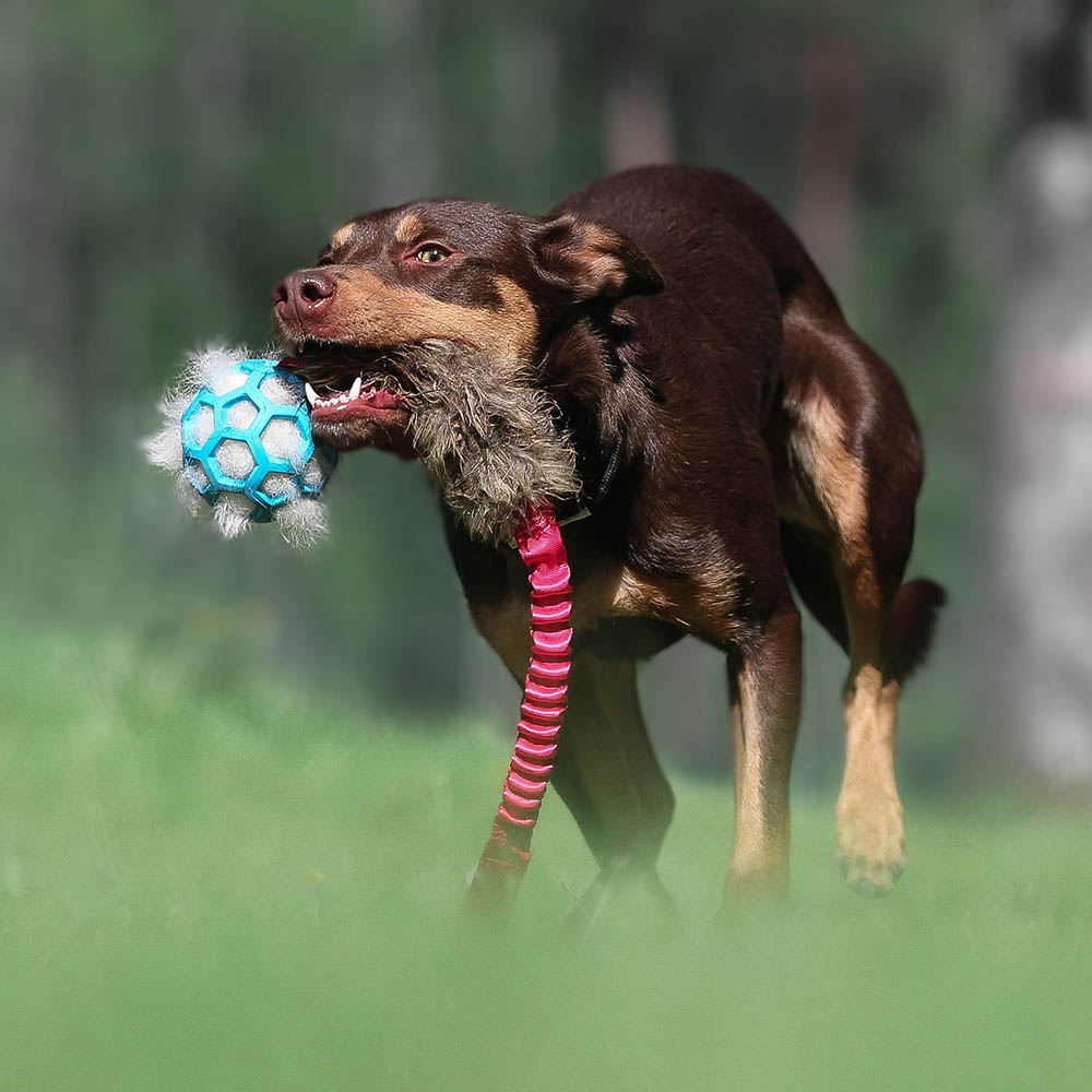 Doggie-Zen hundleksak nätboll med fuskpäls och bungee handtag