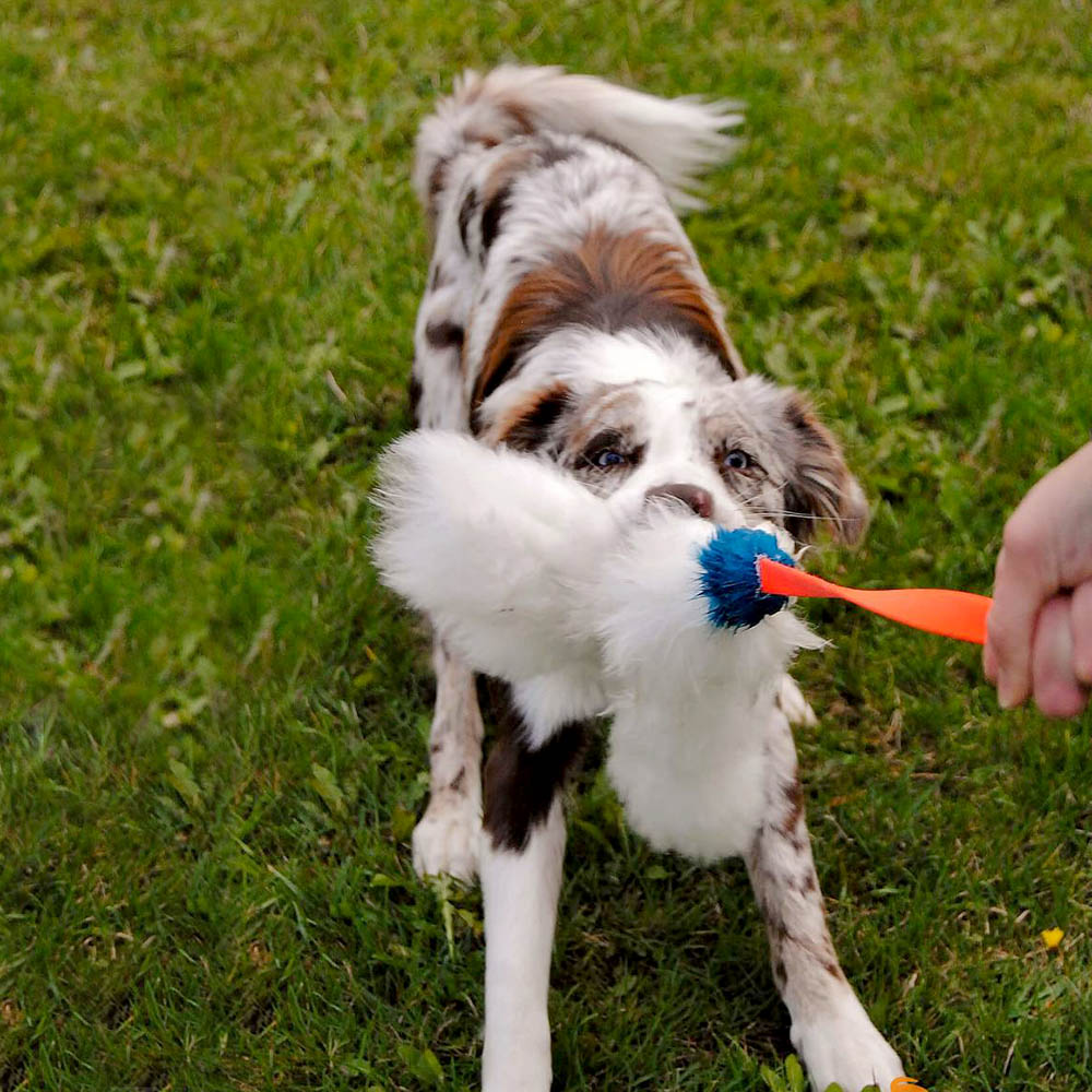 Doggie-Zen octopus chaser with sheepskin for fun playing