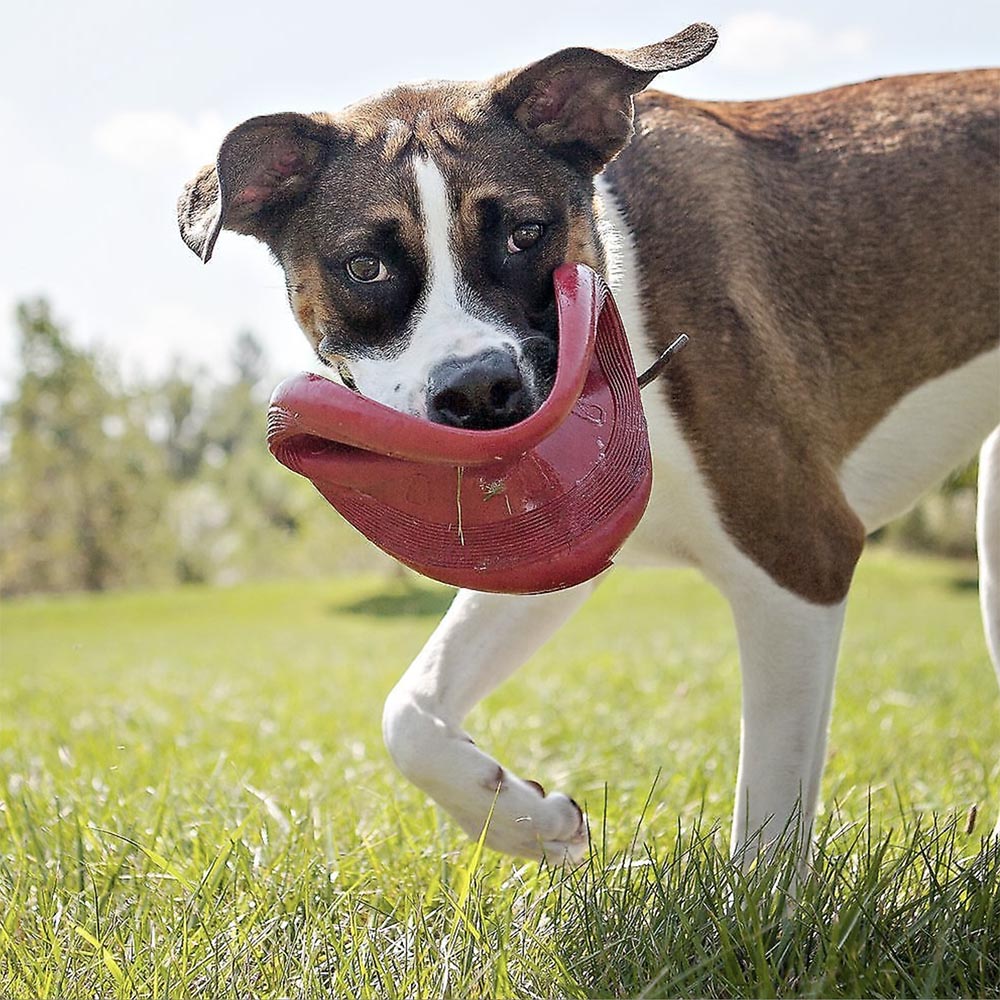 Frisbee Hover Craft™ : Frisbee pour chien - Wanimo