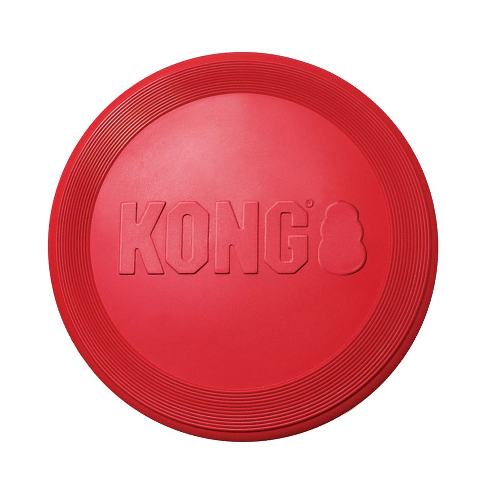 KONG Flyer - 2