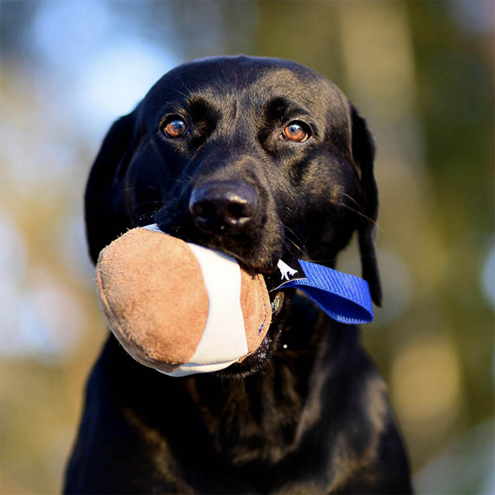 SportsK9 Chewie mjuk boll av äkta läder kampleksak till hund