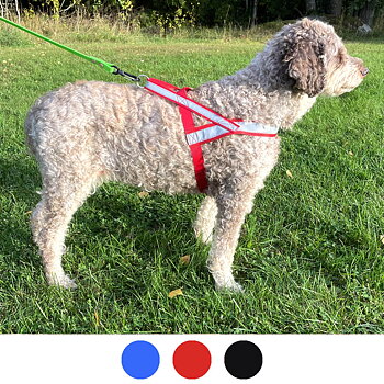 Spårsele till hund Alac svensk tillverkad