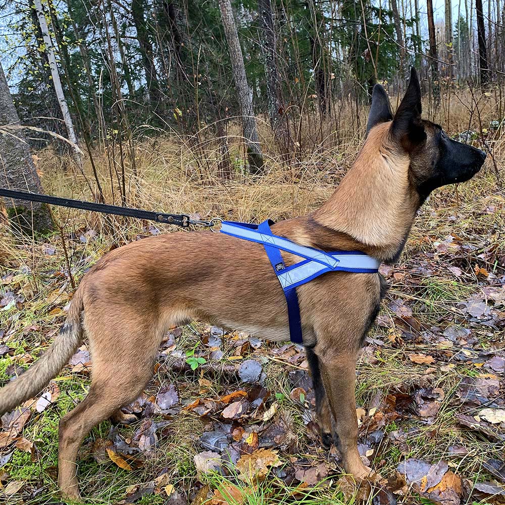 Alac spårsele till stor hund som schäfer newfoundland