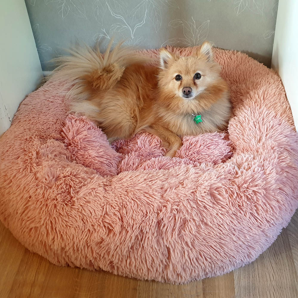 Big fluffy deals dog bed