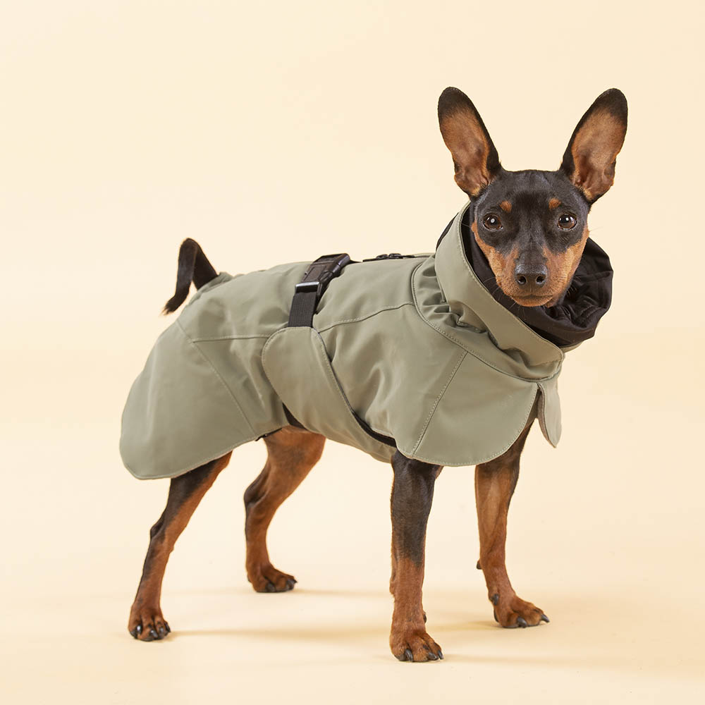 Varmt vintertäcke till liten hund hundtäcke