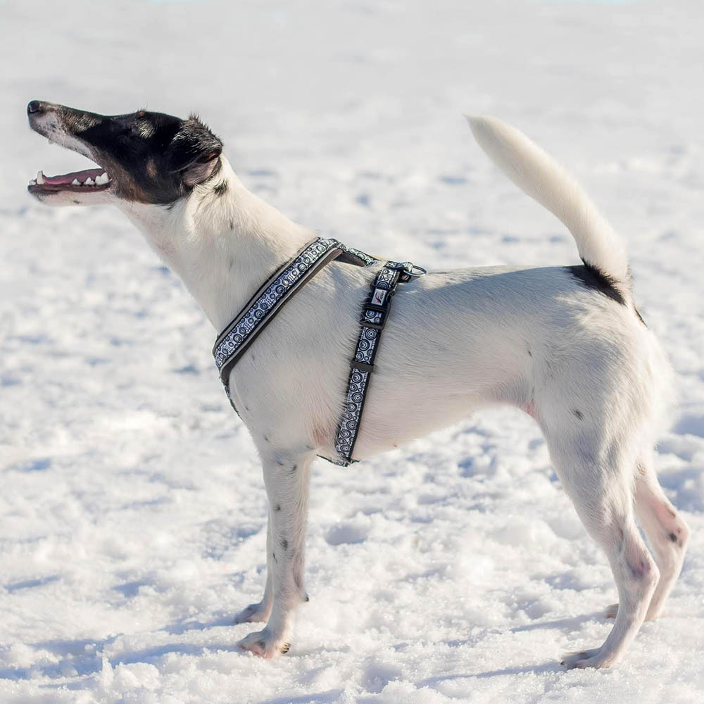 Skön och mjuk y-sele till liten hund