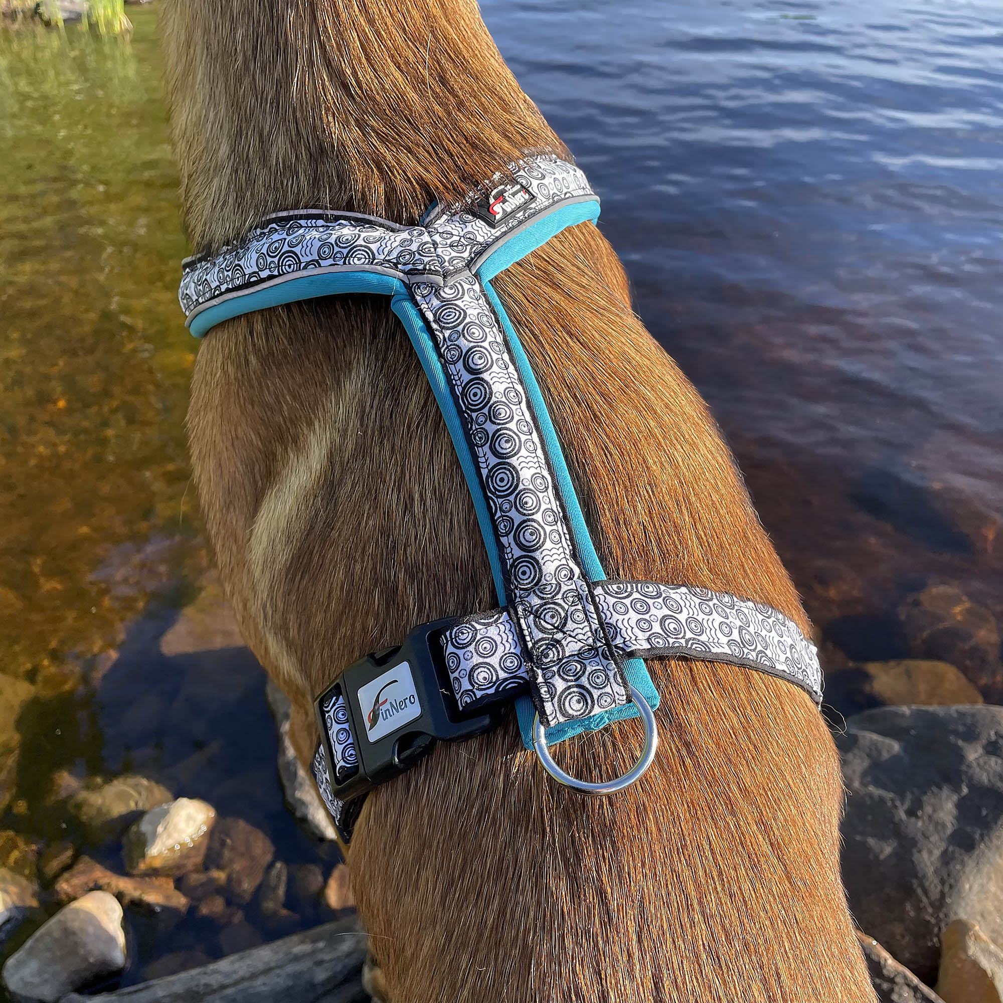 Ocean sport hundsele - 10