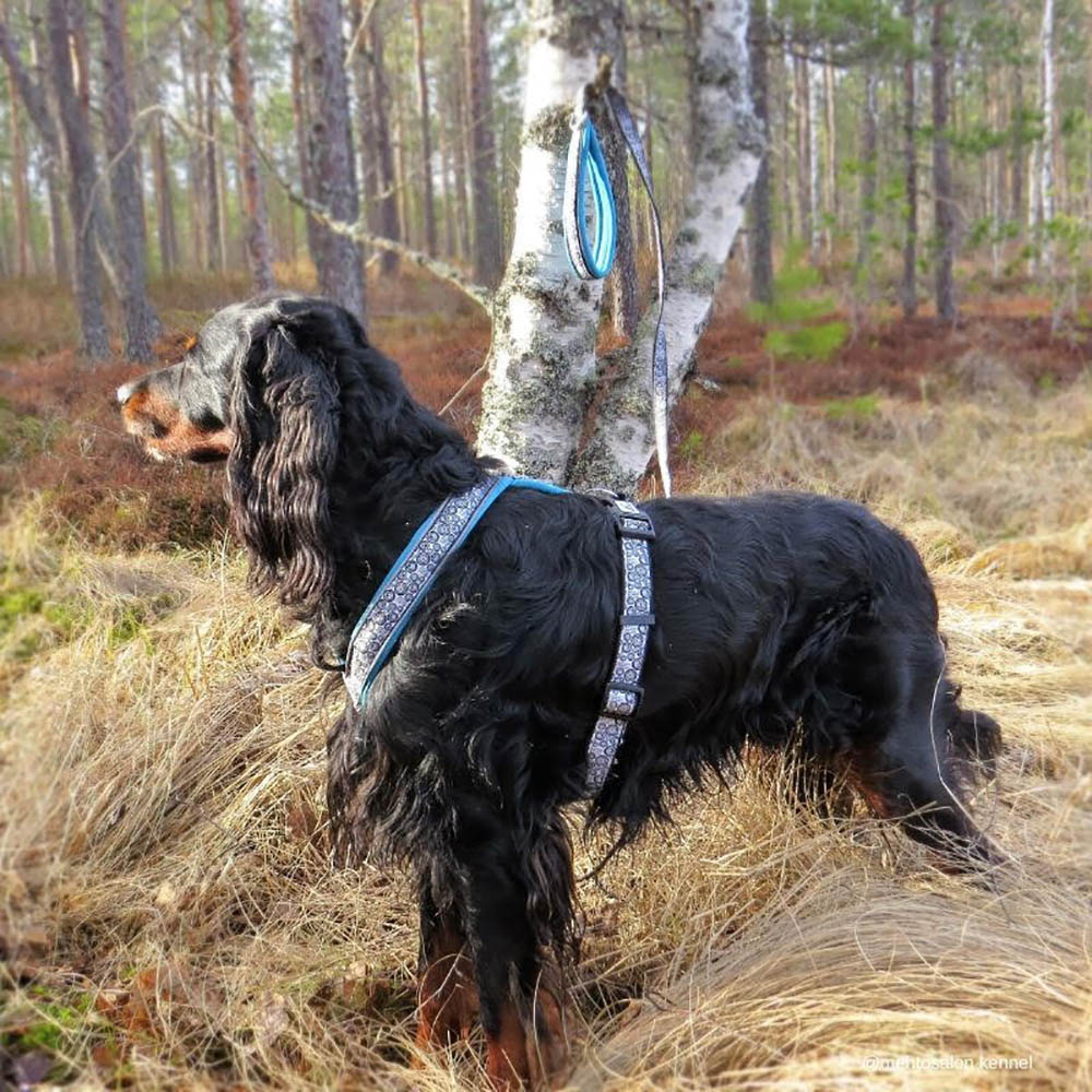 Ocean sport hundsele - 8