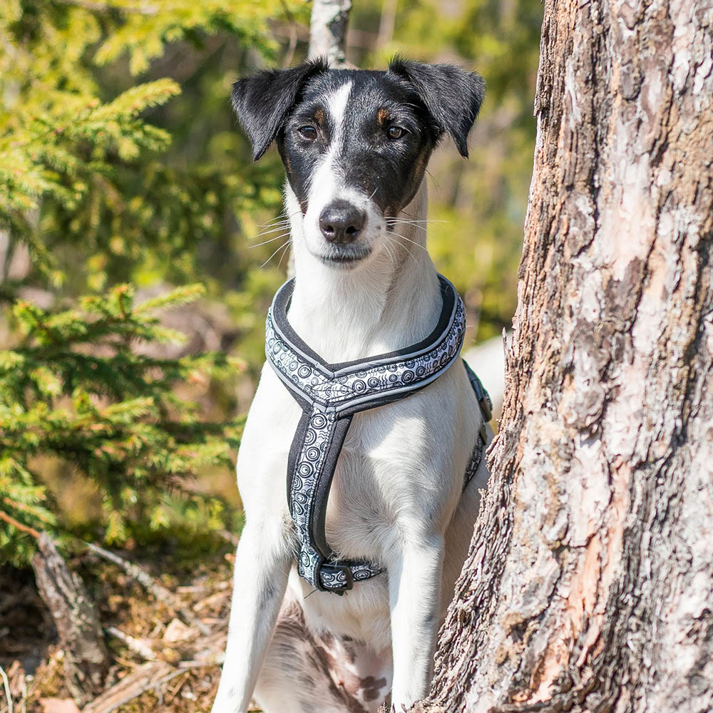 Ocean sport hundsele - 15