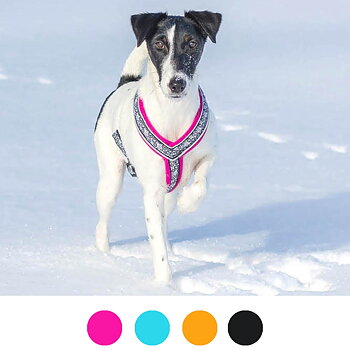 Y-sele till hund från FinNero Ocean sport