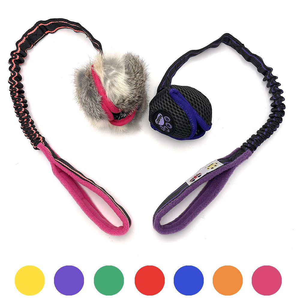 PawsPocket lotusboll med elastiskt handtag