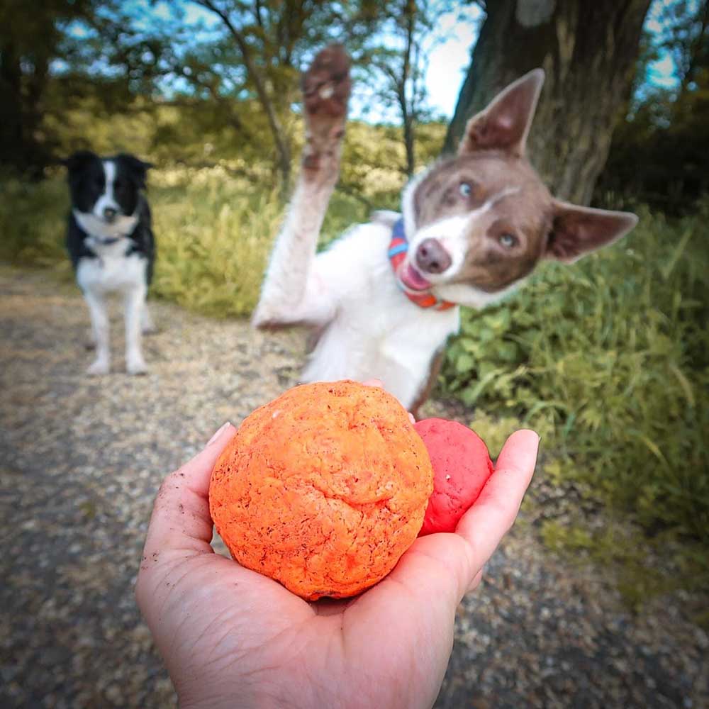 Wacky Walker hundboll tålig hundleksak