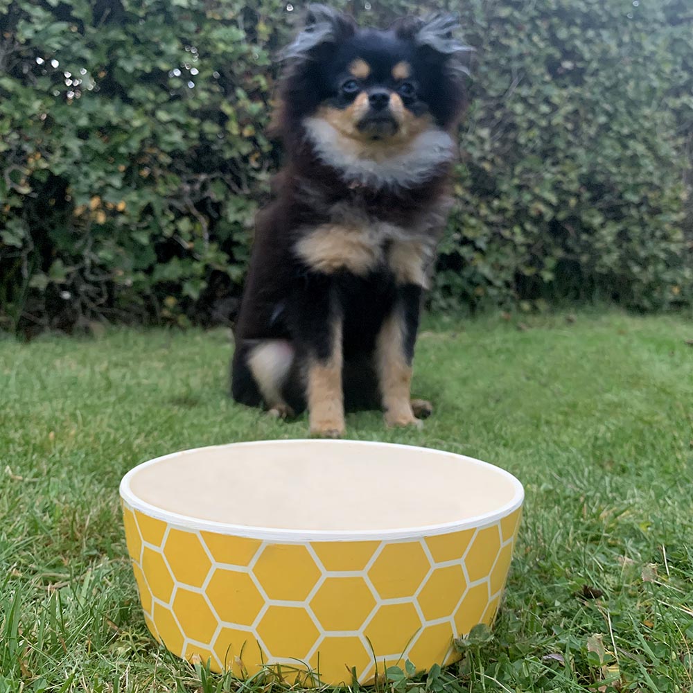 Beco Pets bowl for pets - honeycomb - 5