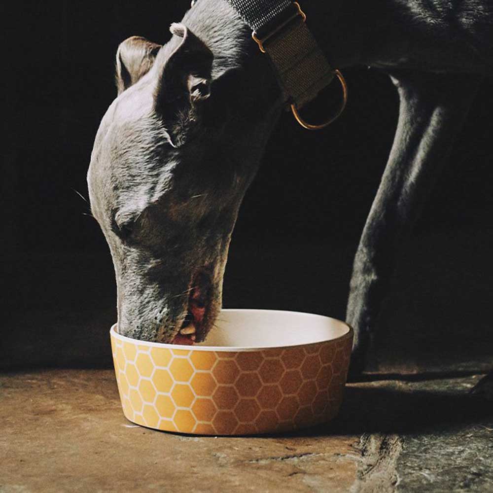 Beco Pets bowl for pets - honeycomb - 4