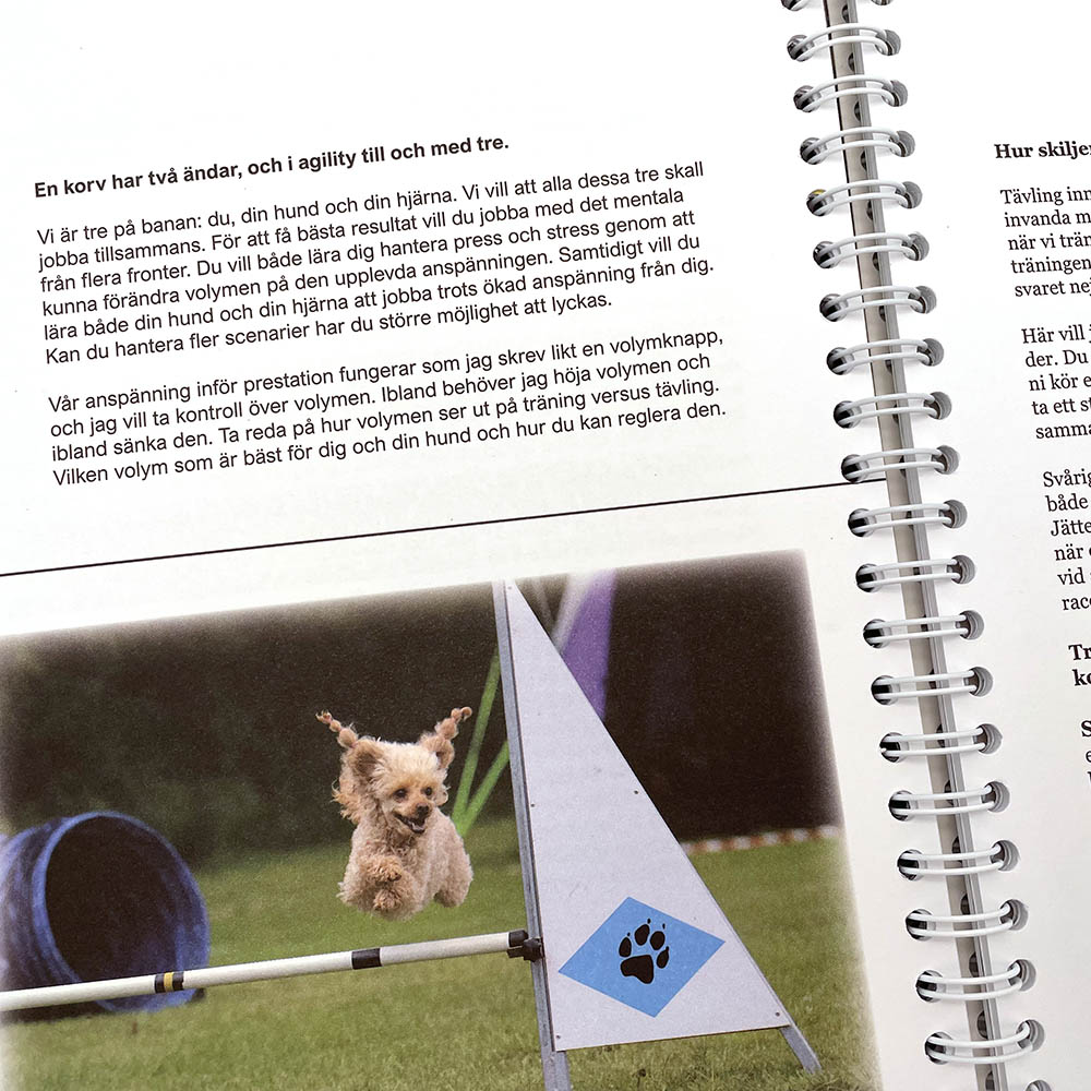 Hur ska jag tänka när jag tävlar agility