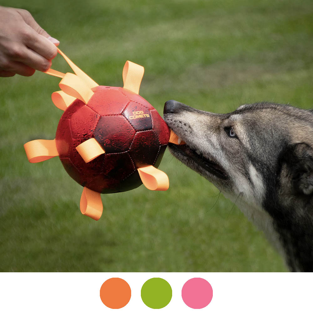Dog Comets Hypernova