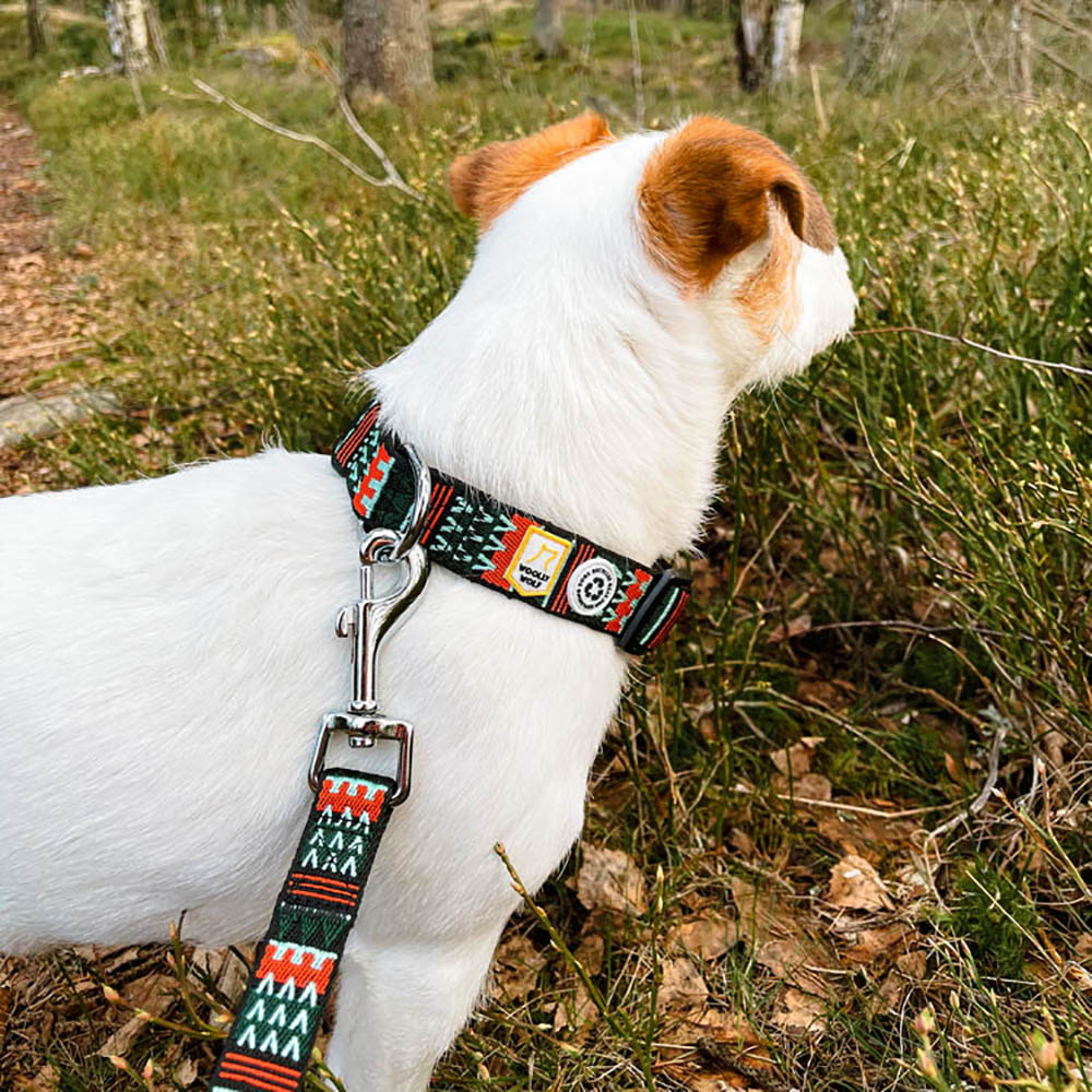 Woolly wolf halsband till hund tillverkad av återvunnet material