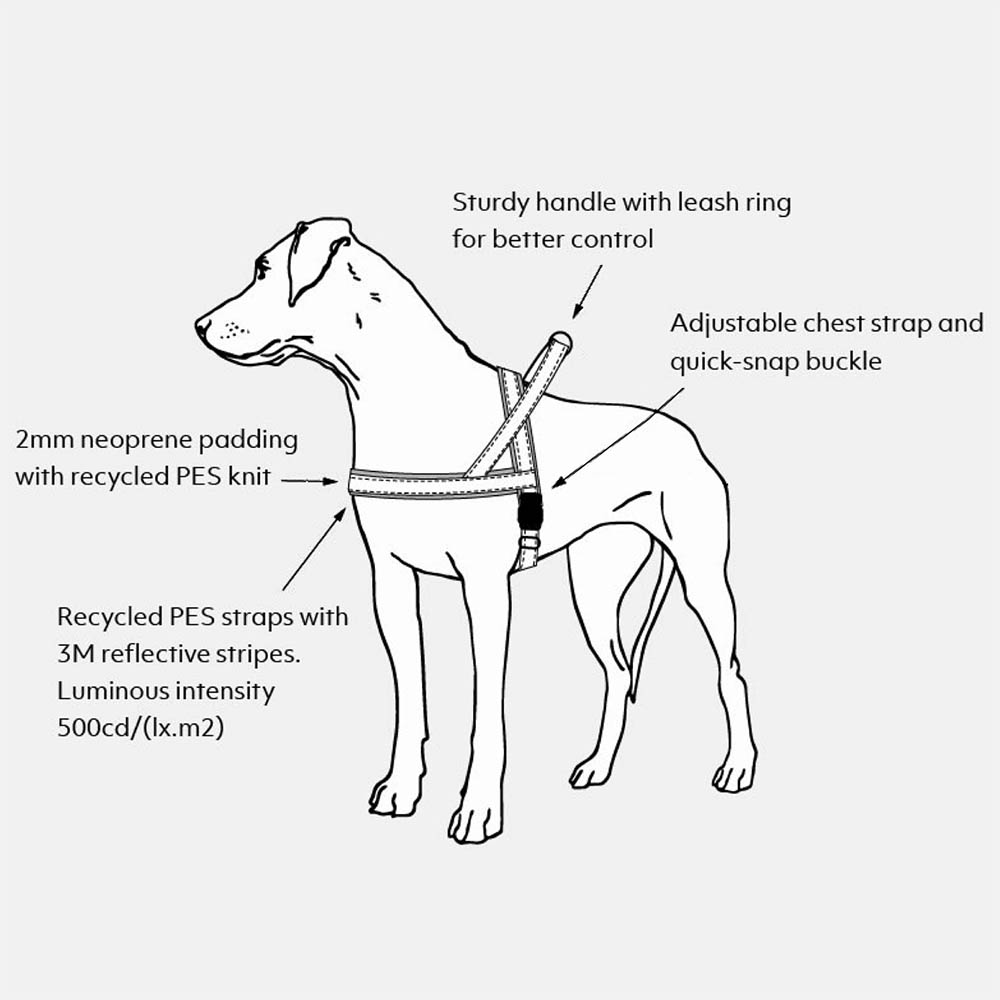 Hurtta Casual ECO harness - 8