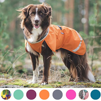 Pomppa sade regnjacka regntäcke till hund
