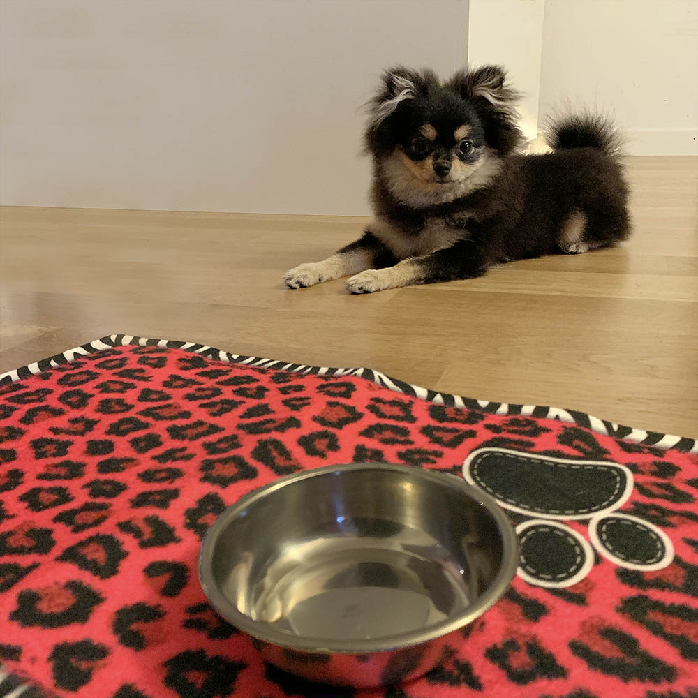 Drymate Pet bowl place mat - pink leopard - 2