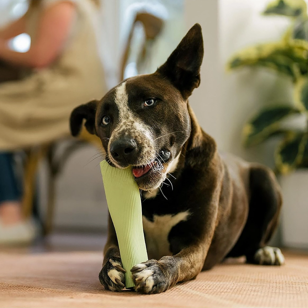 Earth Rated chew toy