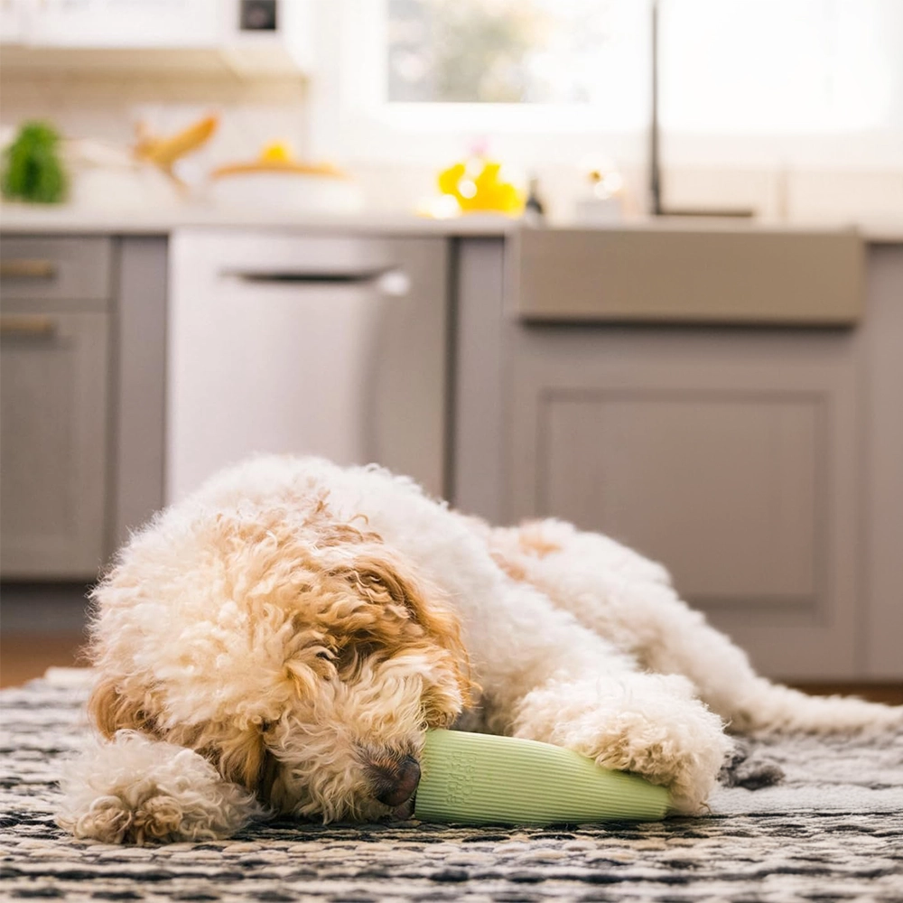 Earth Rated chew toy - 3