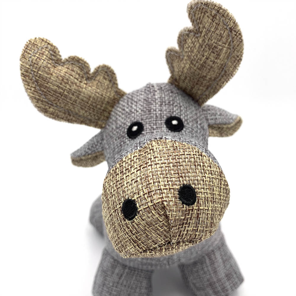 Country dog Tiny moose - 2