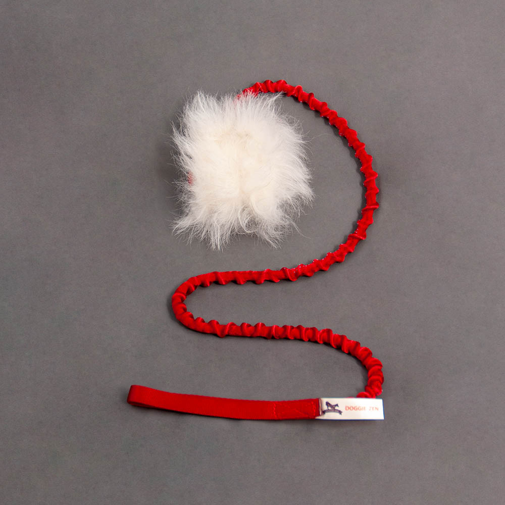 Doggie-Zen treat bag as a dog toy