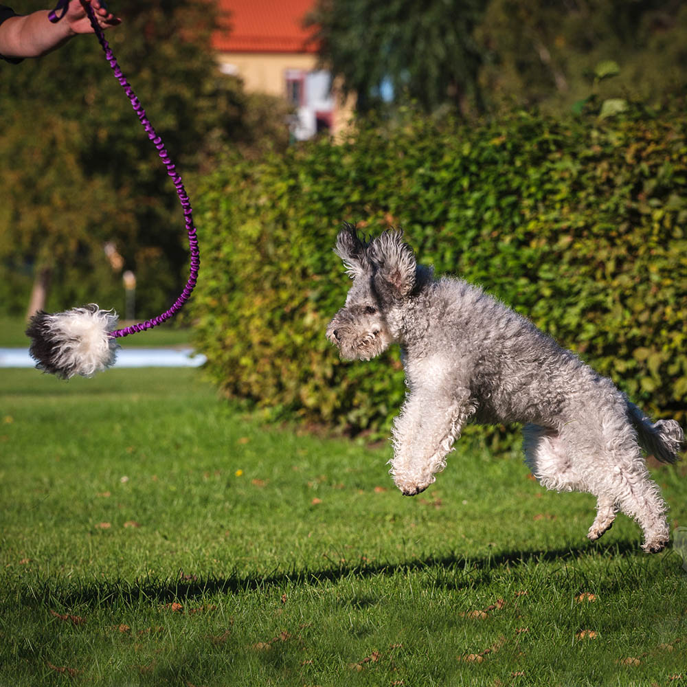 Doggie-Zen bungee treat chaser tug with sheepskin  - 6