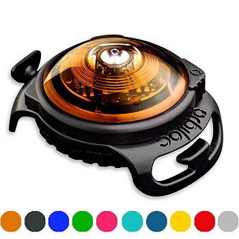 Orbiloc safety light lampa för hundar