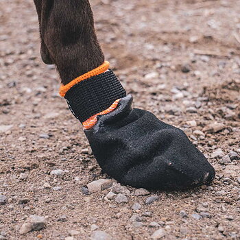Slittåliga skor till hund för vandring och löpning