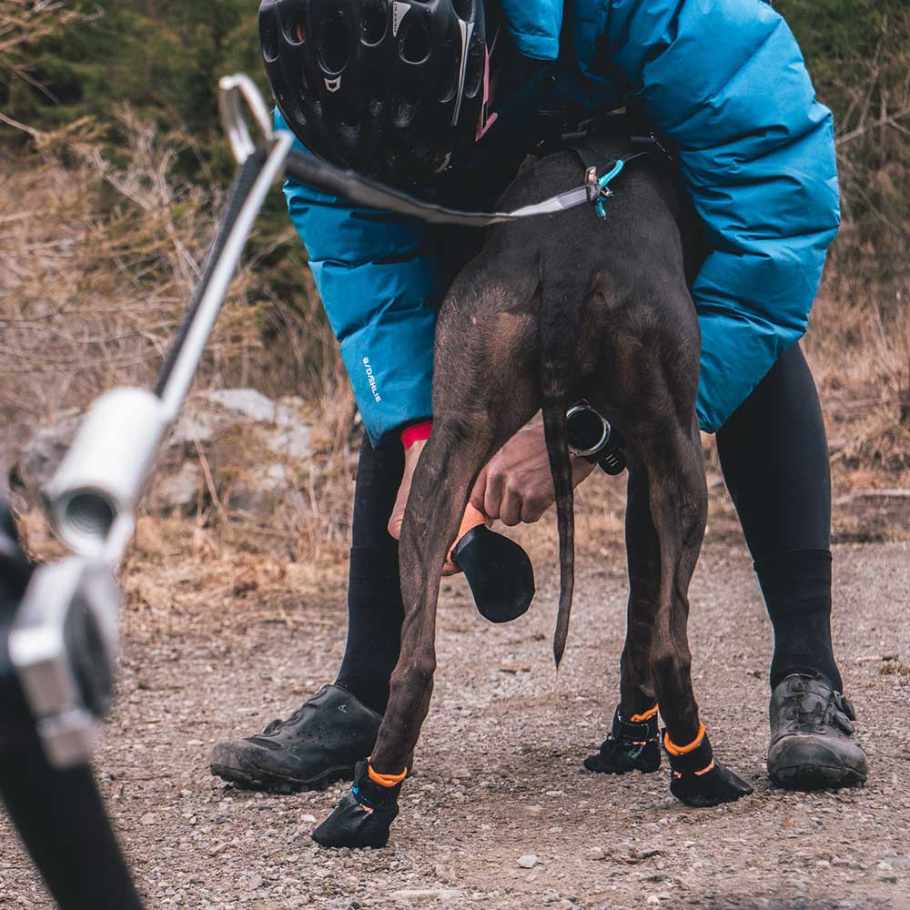 Hundsko till löning, canicross, drag eller promenad från Non-Stop
